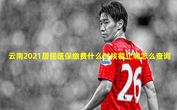 云南2021居民医保缴费什么时候截止呢怎么查询