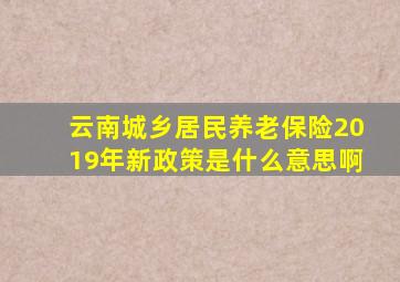 云南城乡居民养老保险2019年新政策是什么意思啊