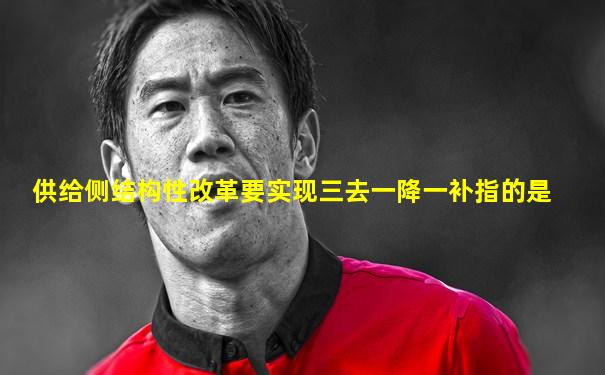 供给侧结构性改革要实现三去一降一补指的是