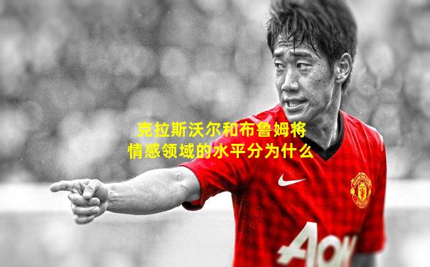 克拉斯沃尔和布鲁姆将情感领域的水平分为什么