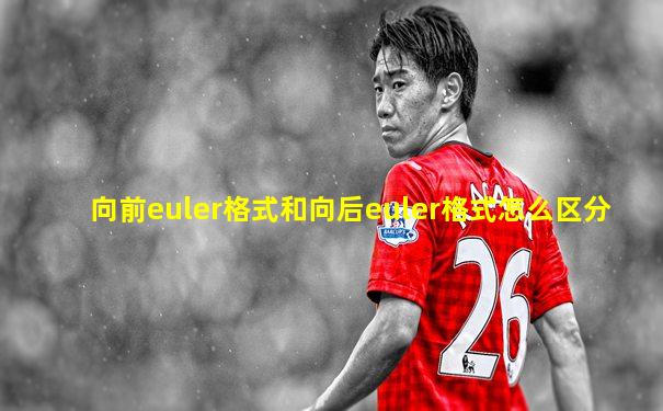 向前euler格式和向后euler格式怎么区分
