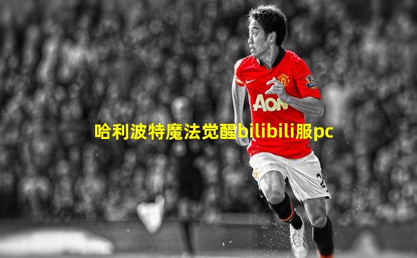 哈利波特魔法觉醒bilibili服pc