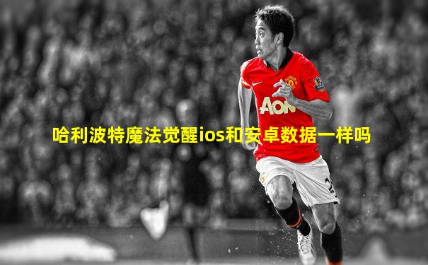 哈利波特魔法觉醒ios和安卓数据一样吗