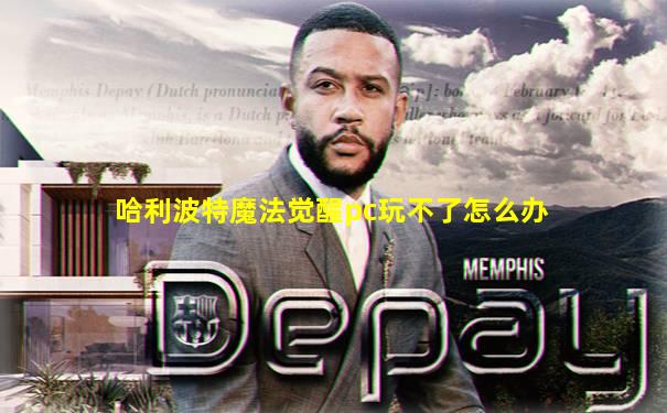 哈利波特魔法觉醒pc玩不了怎么办