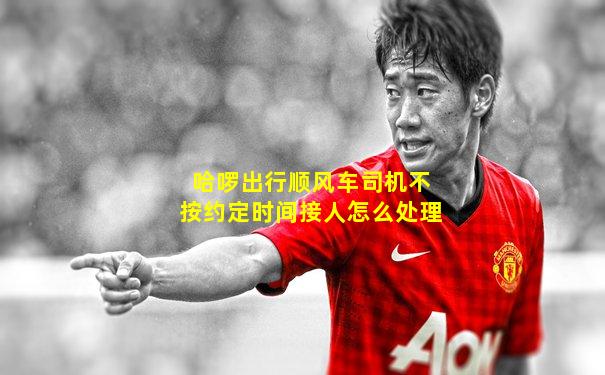 哈啰出行顺风车司机不按约定时间接人怎么处理