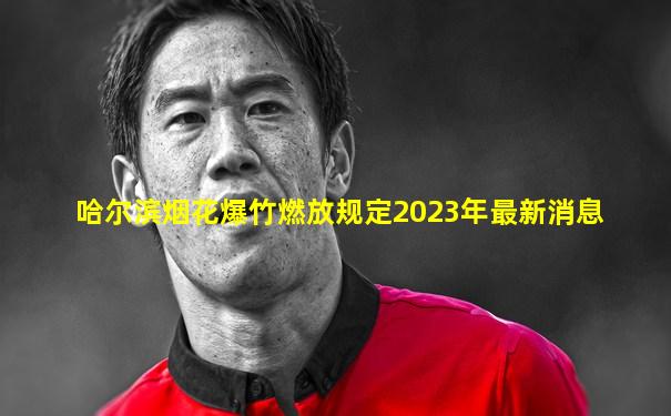 哈尔滨烟花爆竹燃放规定2023年最新消息