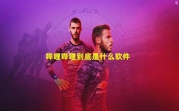 哔哩哔哩到底是什么软件