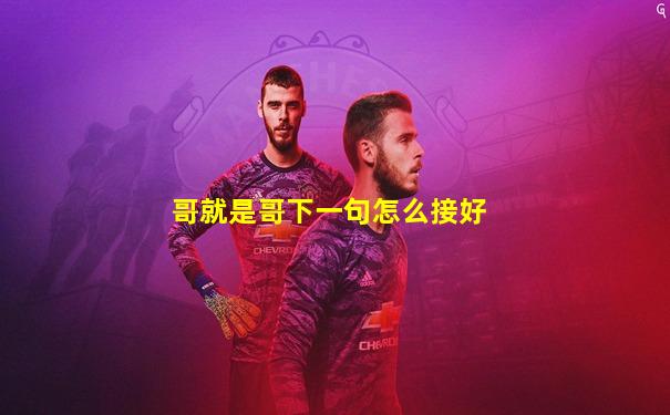 哥就是哥下一句怎么接好