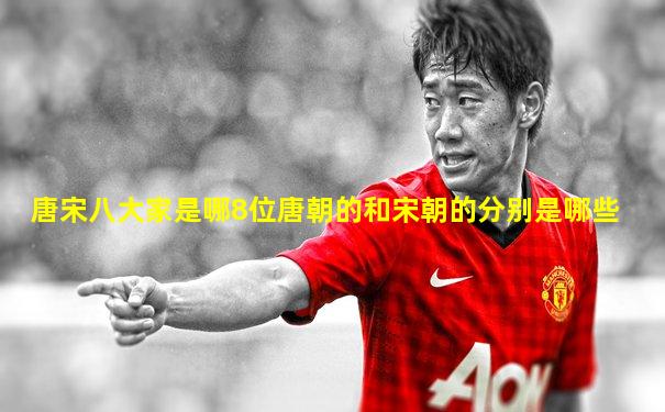 唐宋八大家是哪8位唐朝的和宋朝的分别是哪些