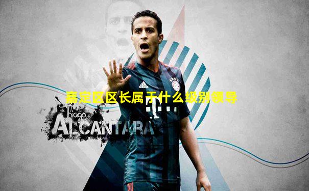 嘉定区区长属于什么级别领导