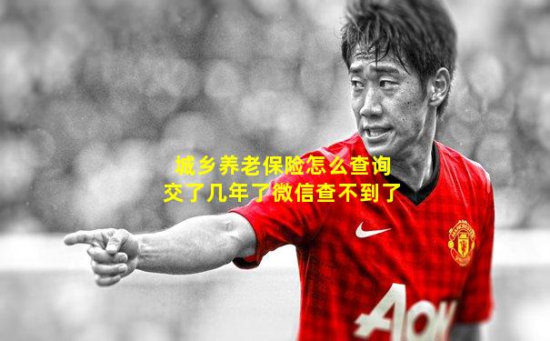 城乡养老保险怎么查询交了几年了微信查不到了