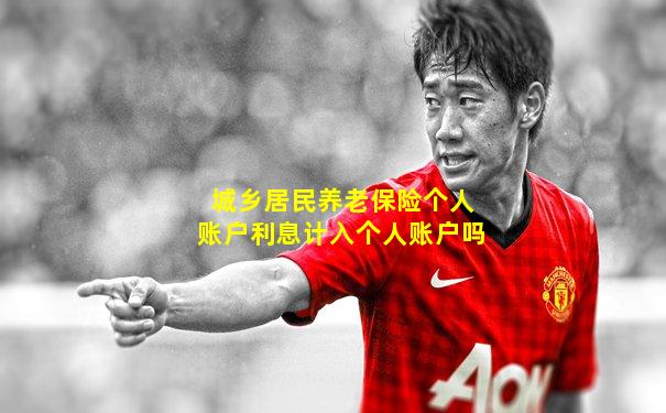 城乡居民养老保险个人账户利息计入个人账户吗