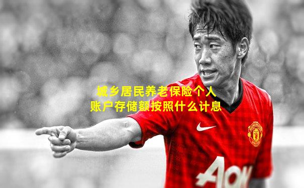 城乡居民养老保险个人账户存储额按照什么计息