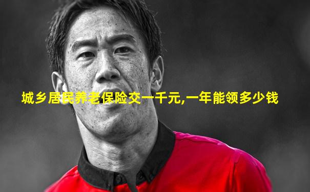 城乡居民养老保险交一千元,一年能领多少钱