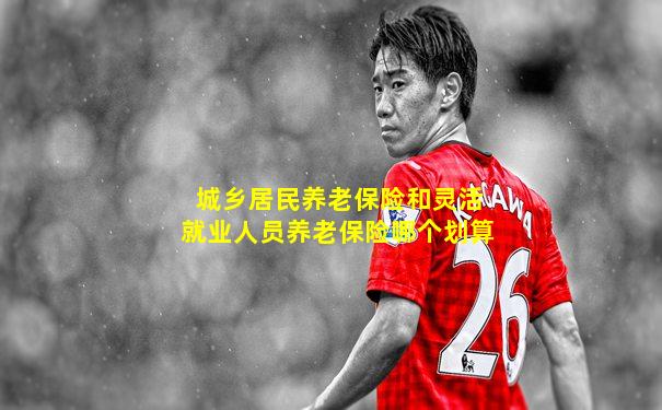 城乡居民养老保险和灵活就业人员养老保险哪个划算