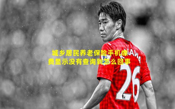 城乡居民养老保险手机缴费显示没有查询到怎么回事