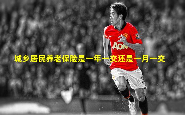 城乡居民养老保险是一年一交还是一月一交