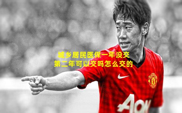 城乡居民医保一年没交第二年可以交吗怎么交的