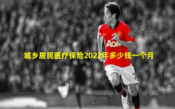城乡居民医疗保险2022年多少钱一个月