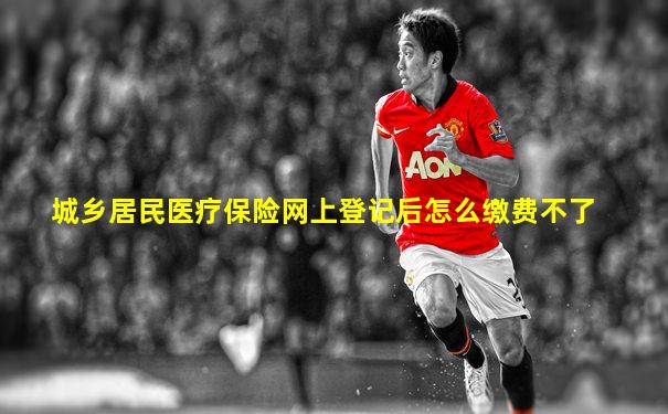 城乡居民医疗保险网上登记后怎么缴费不了