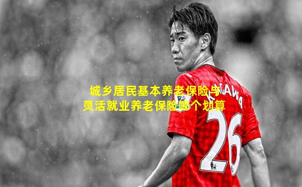城乡居民基本养老保险与灵活就业养老保险哪个划算