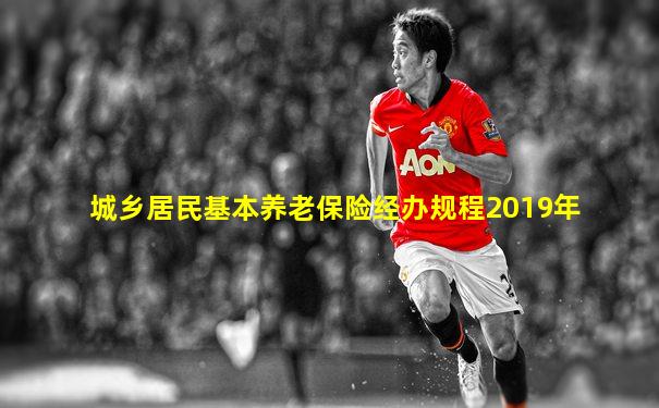 城乡居民基本养老保险经办规程2019年