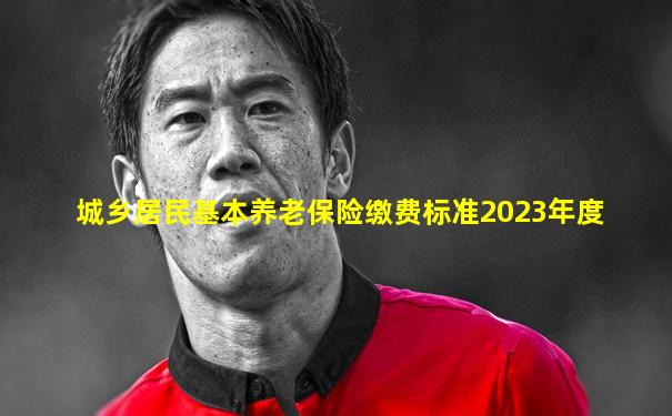 城乡居民基本养老保险缴费标准2023年度