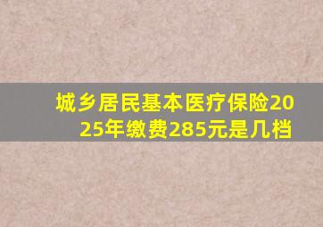 城乡居民基本医疗保险2025年缴费285元是几档