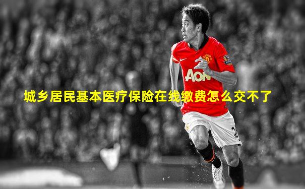 城乡居民基本医疗保险在线缴费怎么交不了