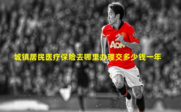 城镇居民医疗保险去哪里办理交多少钱一年