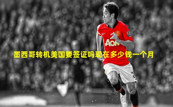 墨西哥转机美国要签证吗现在多少钱一个月