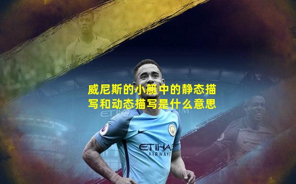 威尼斯的小艇中的静态描写和动态描写是什么意思