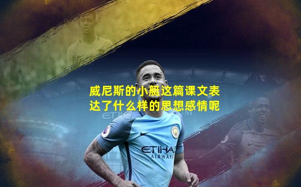 威尼斯的小艇这篇课文表达了什么样的思想感情呢