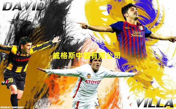 威格斯中国有限公司