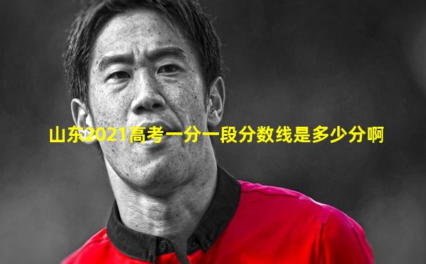 山东2021高考一分一段分数线是多少分啊