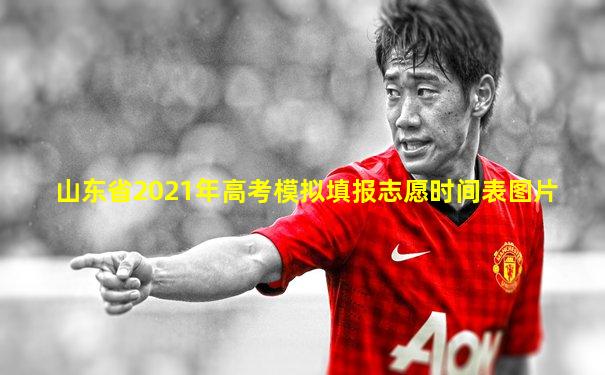 山东省2021年高考模拟填报志愿时间表图片