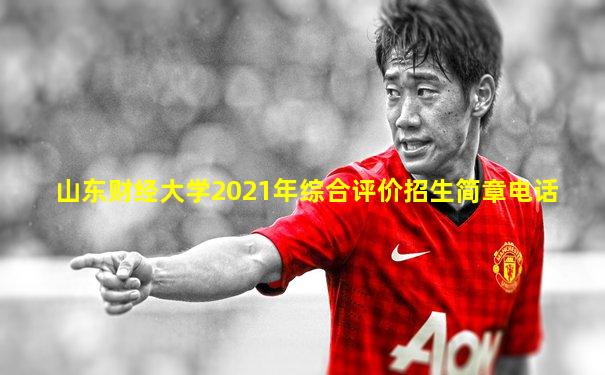 山东财经大学2021年综合评价招生简章电话