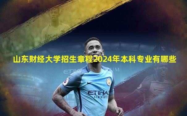 山东财经大学招生章程2024年本科专业有哪些