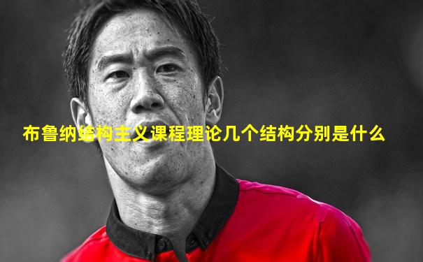 布鲁纳结构主义课程理论几个结构分别是什么