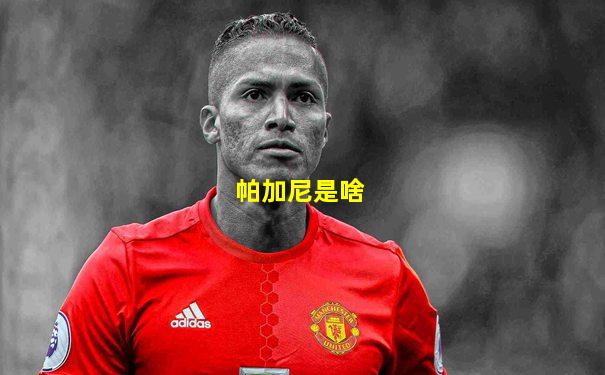 帕加尼是啥