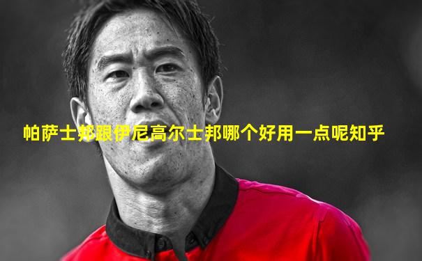 帕萨士邦跟伊尼高尔士邦哪个好用一点呢知乎