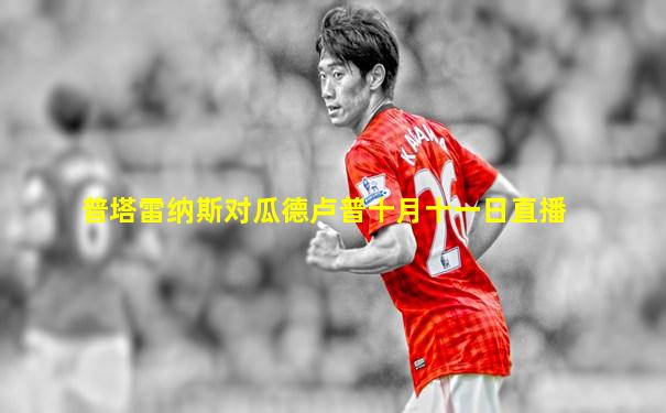 普塔雷纳斯对瓜德卢普十月十一日直播
