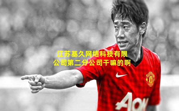 江苏基久网络科技有限公司第二分公司干嘛的啊