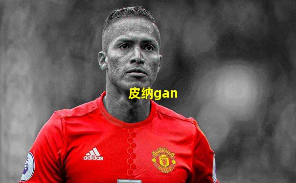 皮纳gan