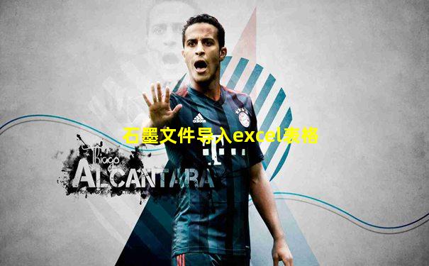 石墨文件导入excel表格