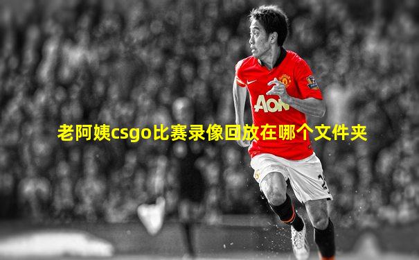 老阿姨csgo比赛录像回放在哪个文件夹