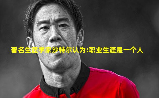 著名生涯学家沙特尔认为:职业生涯是一个人