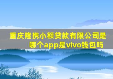 重庆隆携小额贷款有限公司是哪个app是vivo钱包吗