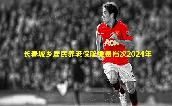 长春城乡居民养老保险缴费档次2024年